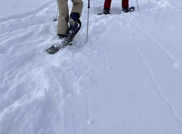 Guided (snowshoe)winter hike with culinaric surprise in Klostertal