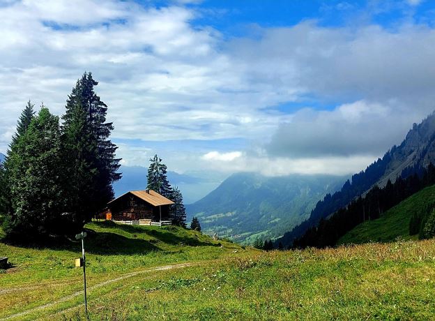Vielfaltertag im Europaschutzgebiet Klostertaler Bergwälder - Alpe Gavar