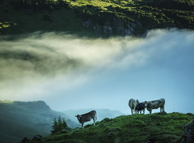 Ausstellung 'So klingen unsere Alpen'
